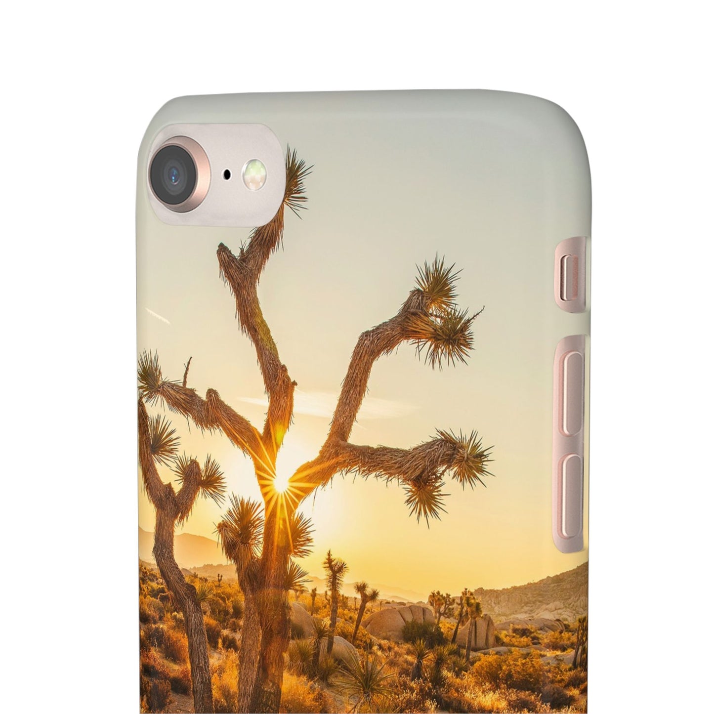 Desert Sunset Cajasol - Stylish Protection for Nature Lovers