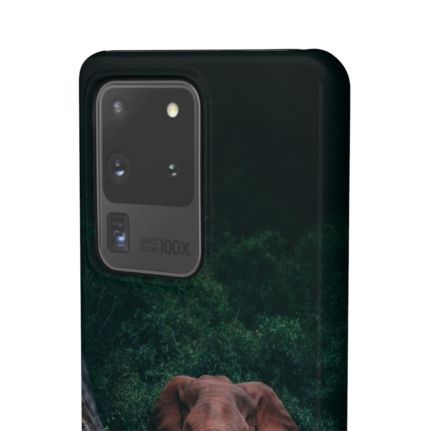 Wildlife Lover's Cajasol - Majestic Elephant