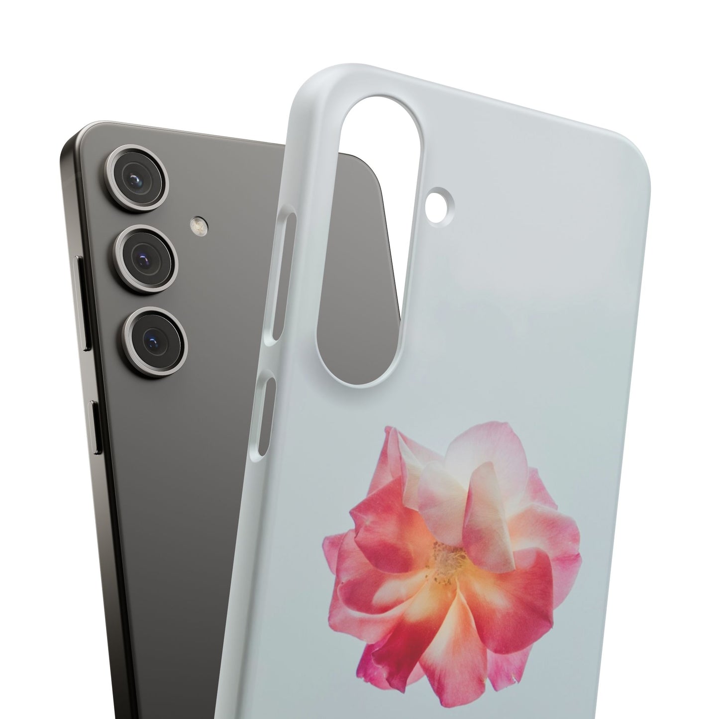 Floral Cajasol - Elegant Pink Flower