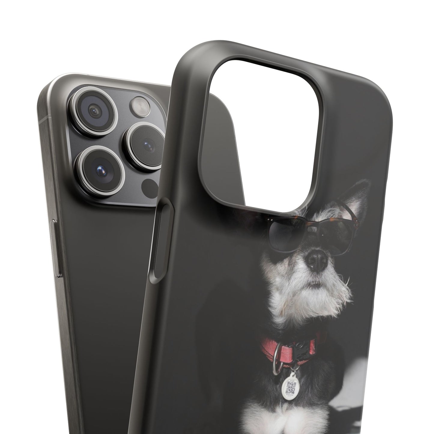 Cool Dog Cajasol - Stylish Pet