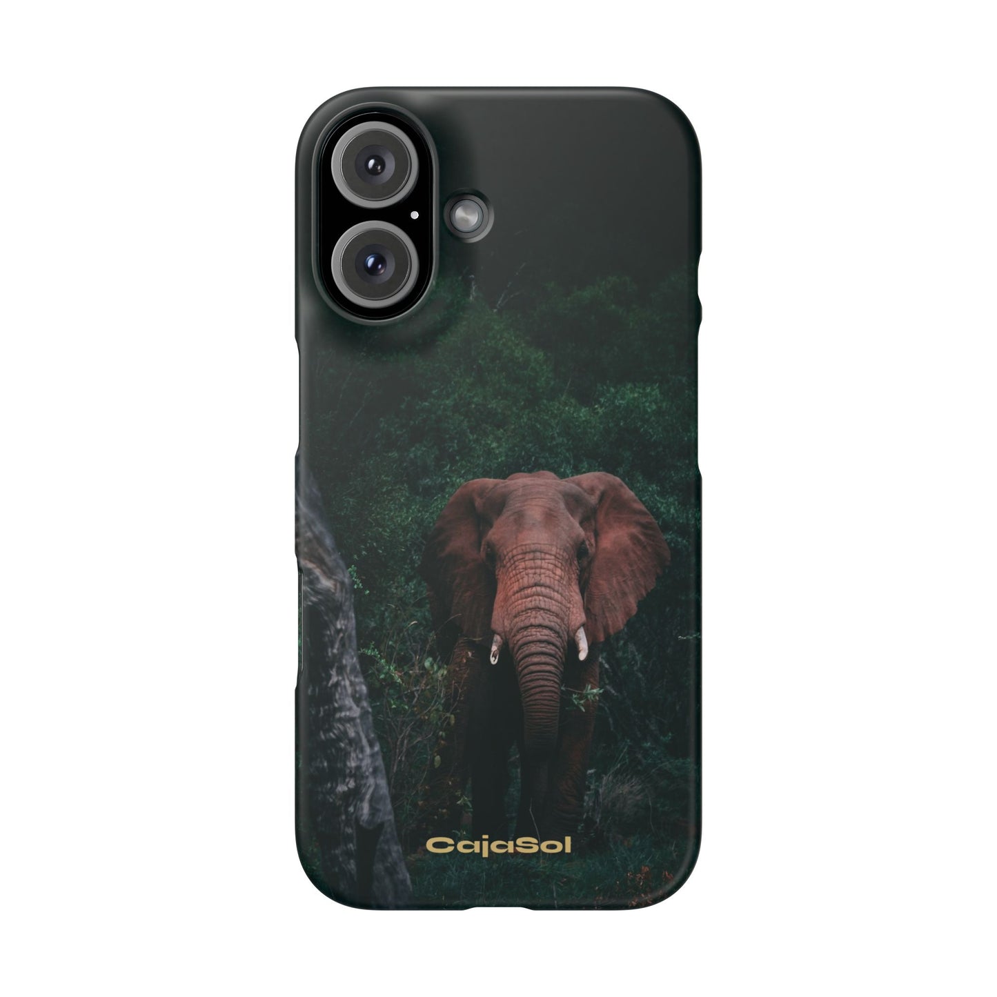 Wildlife Lover's Cajasol - Majestic Elephant