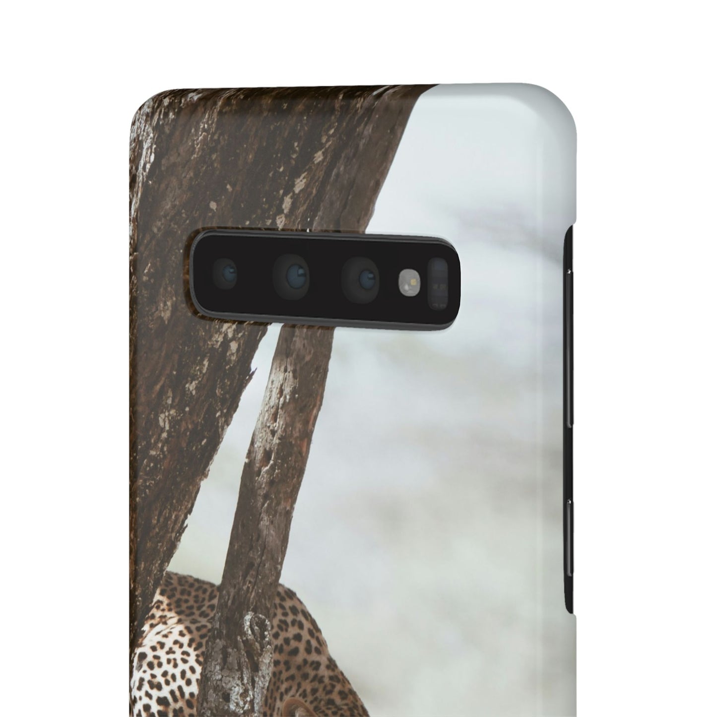 Leopard Cajasol - Wildlife Vibes