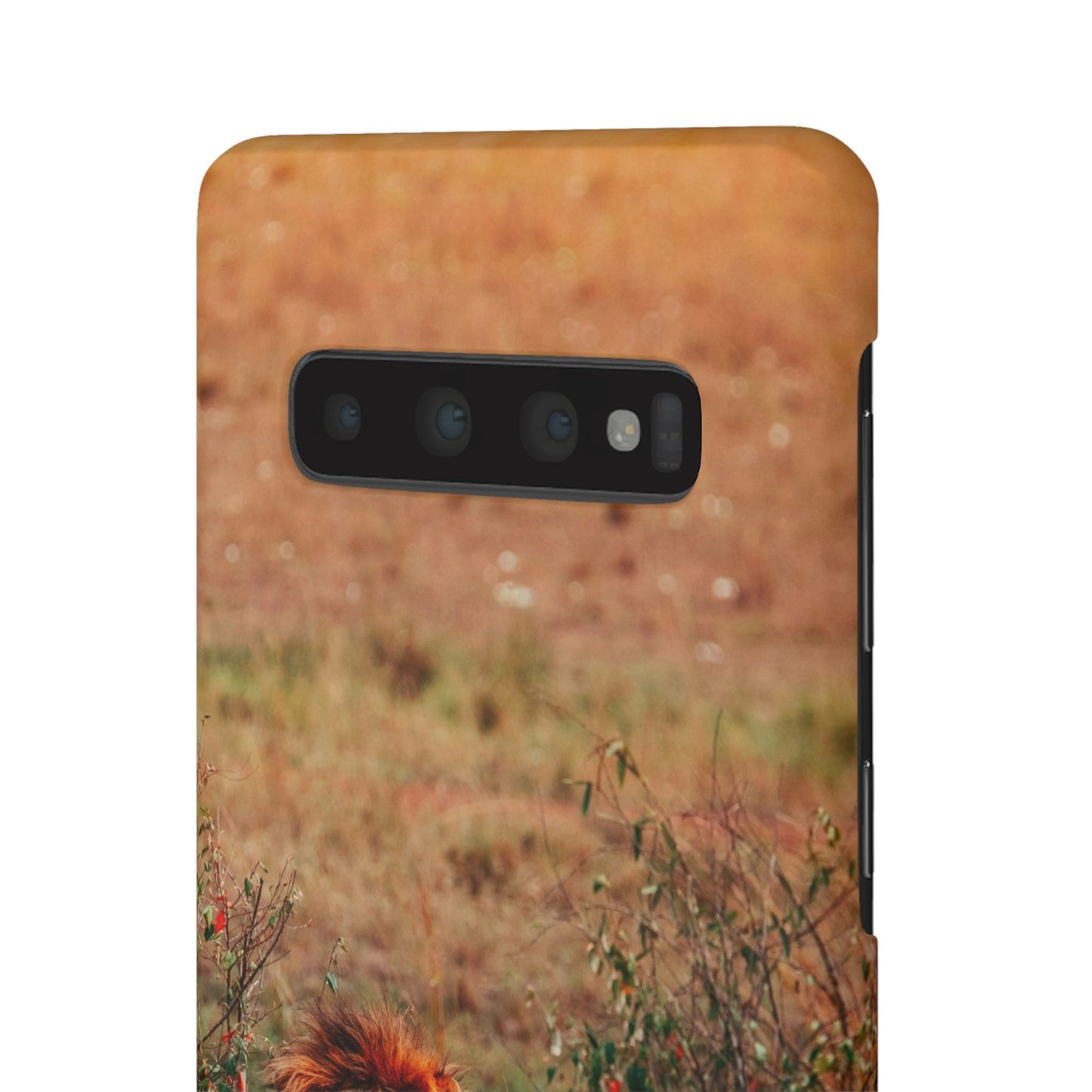 Majestic Lion Cajasol - Nature Inspired