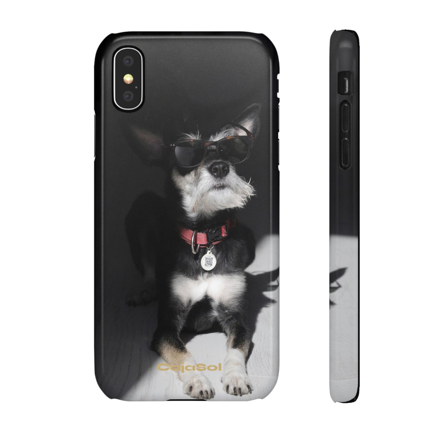 Cool Dog Cajasol - Stylish Pet