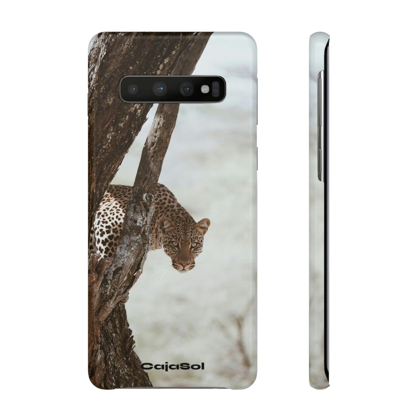Leopard Cajasol - Wildlife Vibes