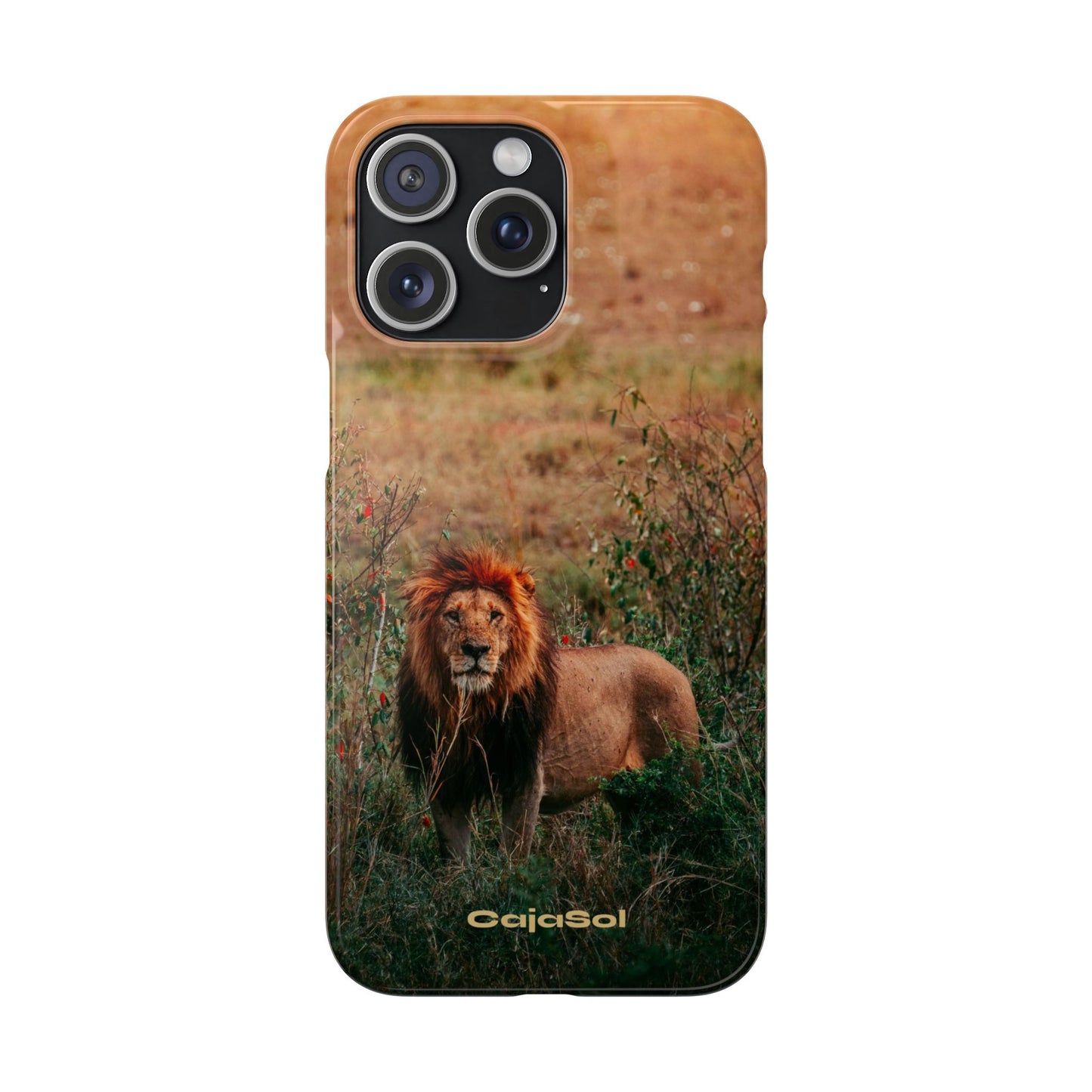 Majestic Lion Cajasol - Nature Inspired