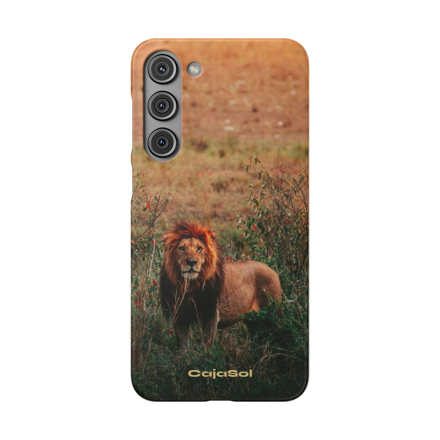 Majestic Lion Cajasol - Nature Inspired