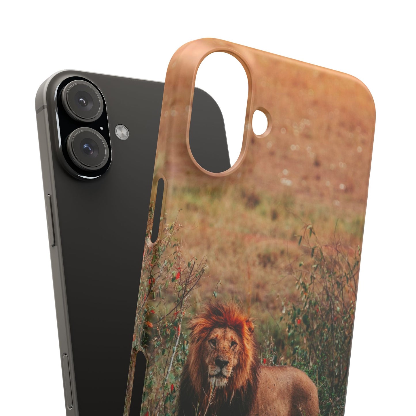 Majestic Lion Cajasol - Nature Inspired