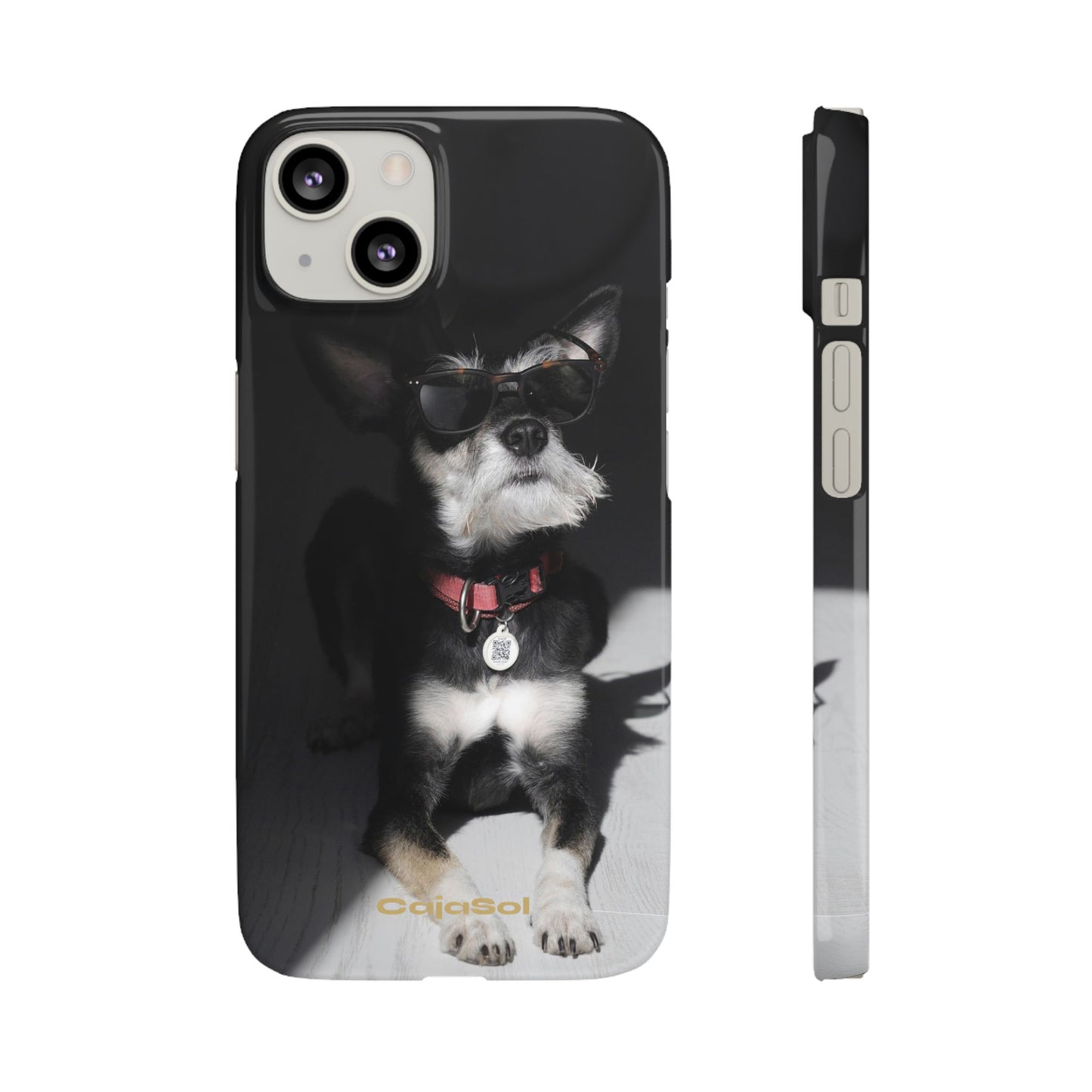 Cool Dog Cajasol - Stylish Pet