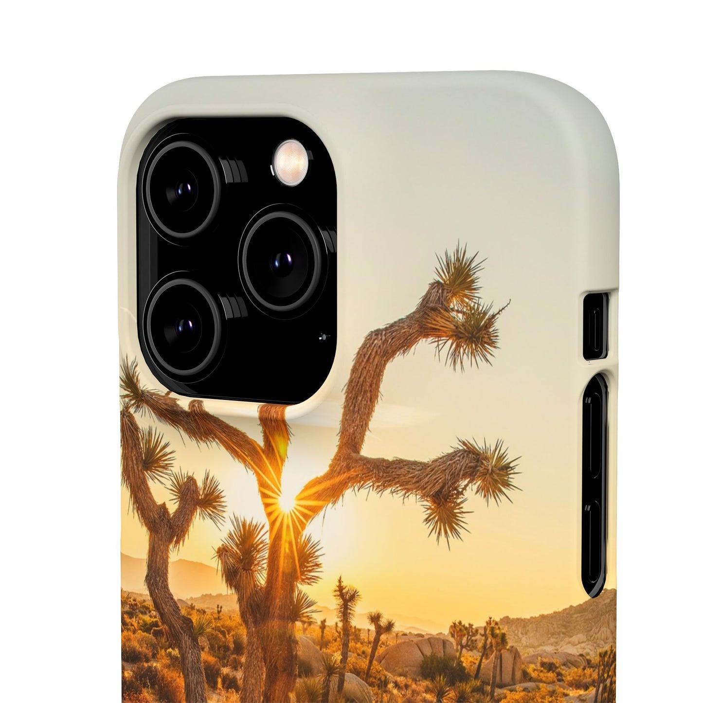 Desert Sunset Cajasol - Stylish Protection for Nature Lovers
