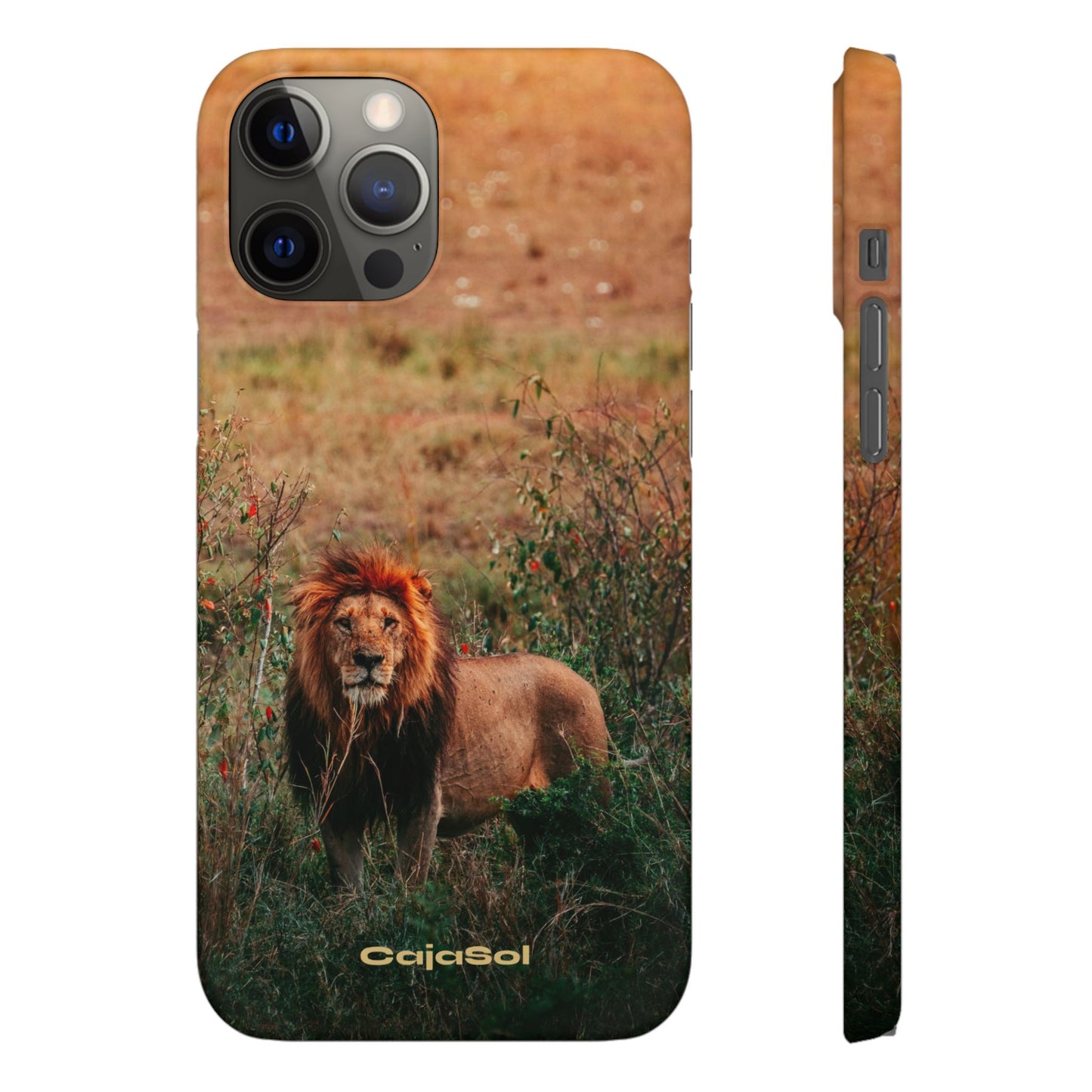 Majestic Lion Cajasol - Nature Inspired