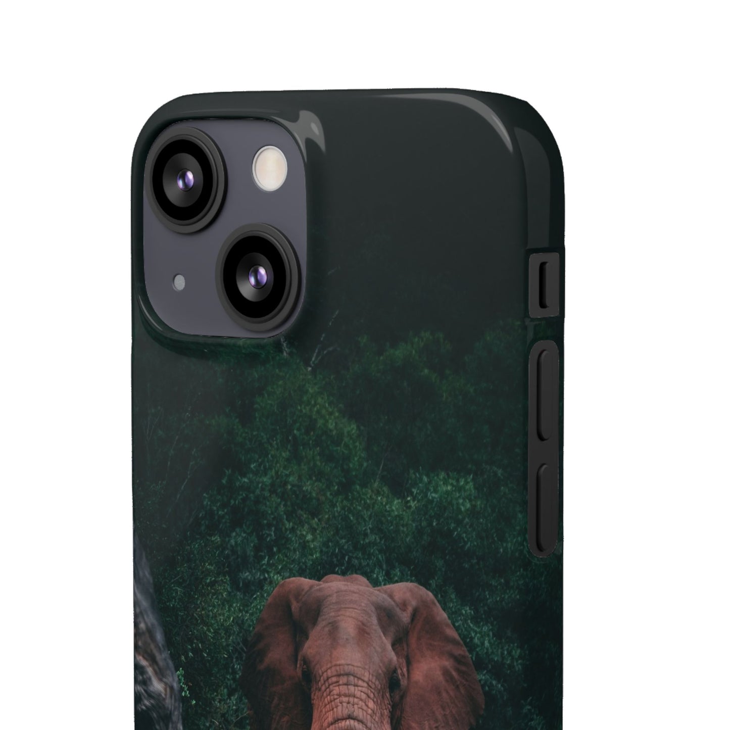 Wildlife Lover's Cajasol - Majestic Elephant