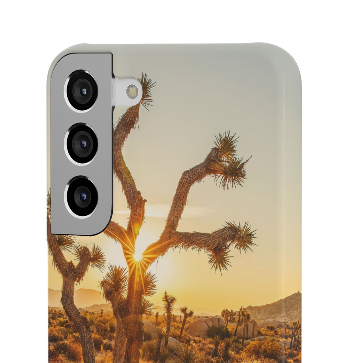 Desert Sunset Cajasol - Stylish Protection for Nature Lovers