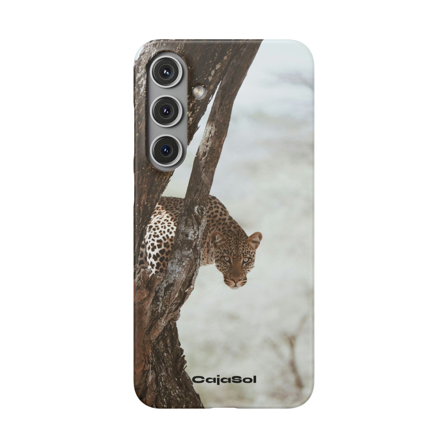 Leopard Cajasol - Wildlife Vibes