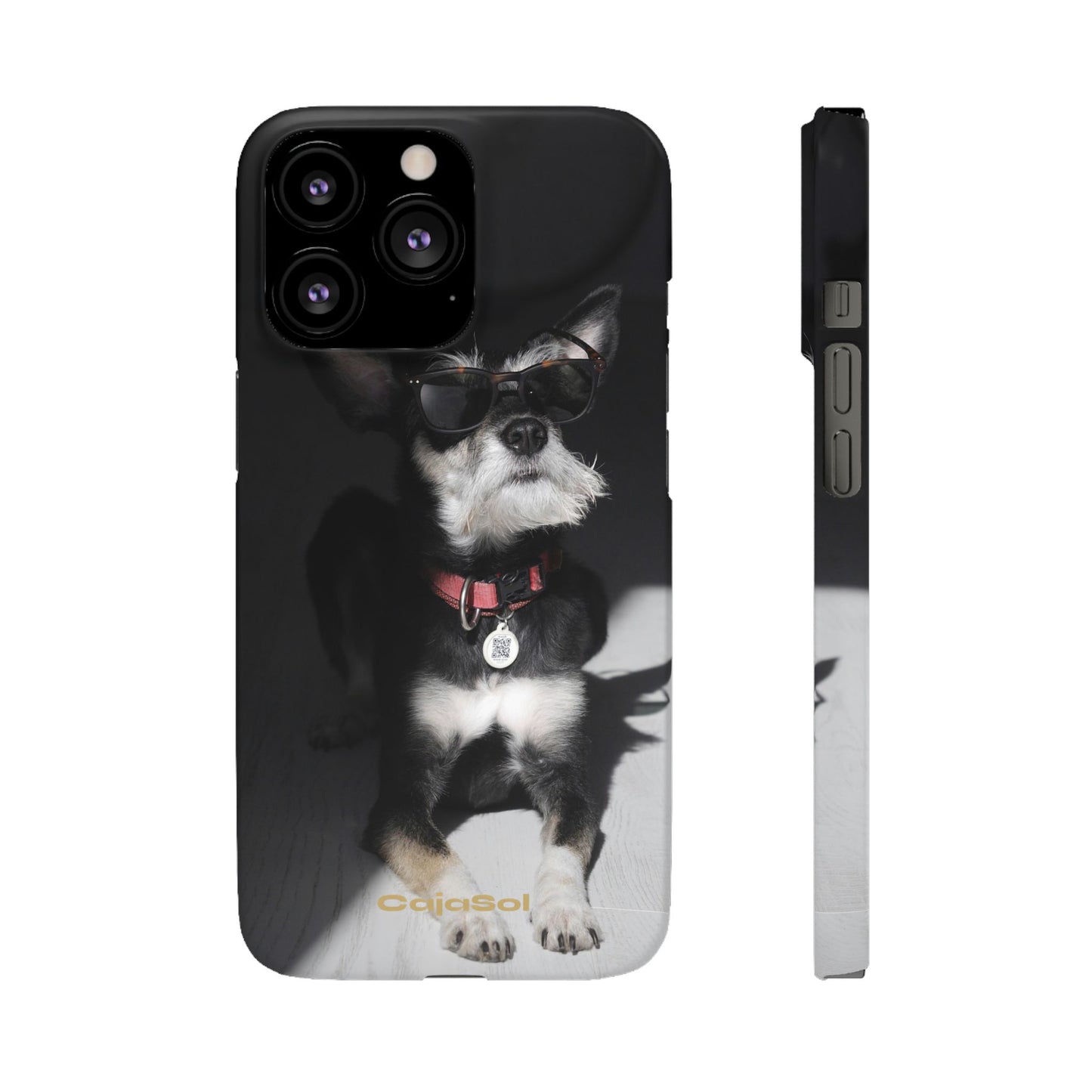Cool Dog Cajasol - Stylish Pet