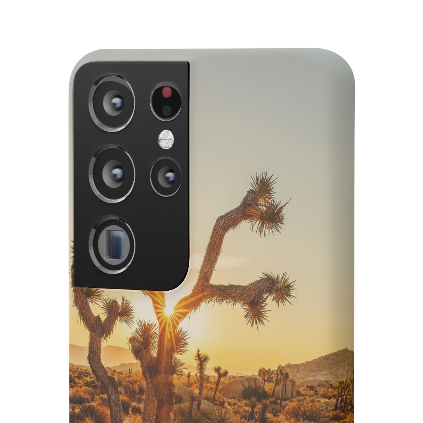 Desert Sunset Cajasol - Stylish Protection for Nature Lovers
