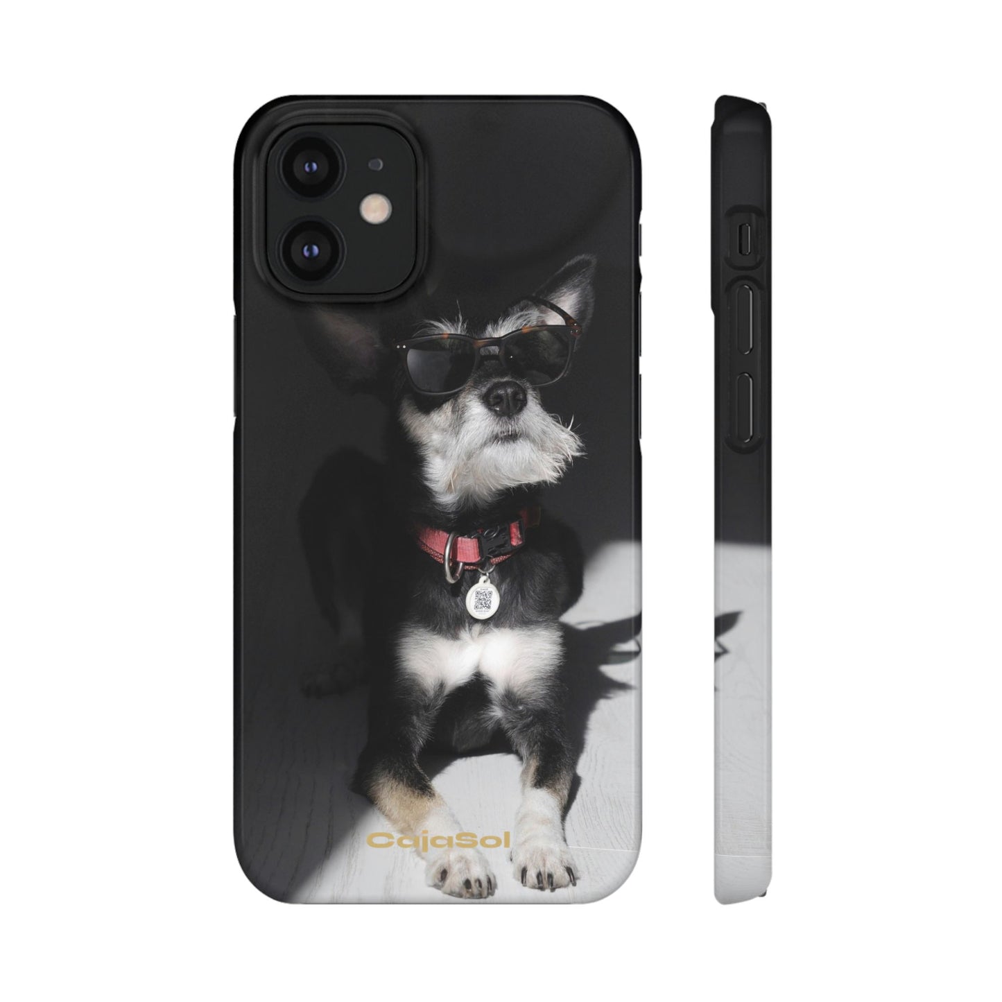 Cool Dog Cajasol - Stylish Pet