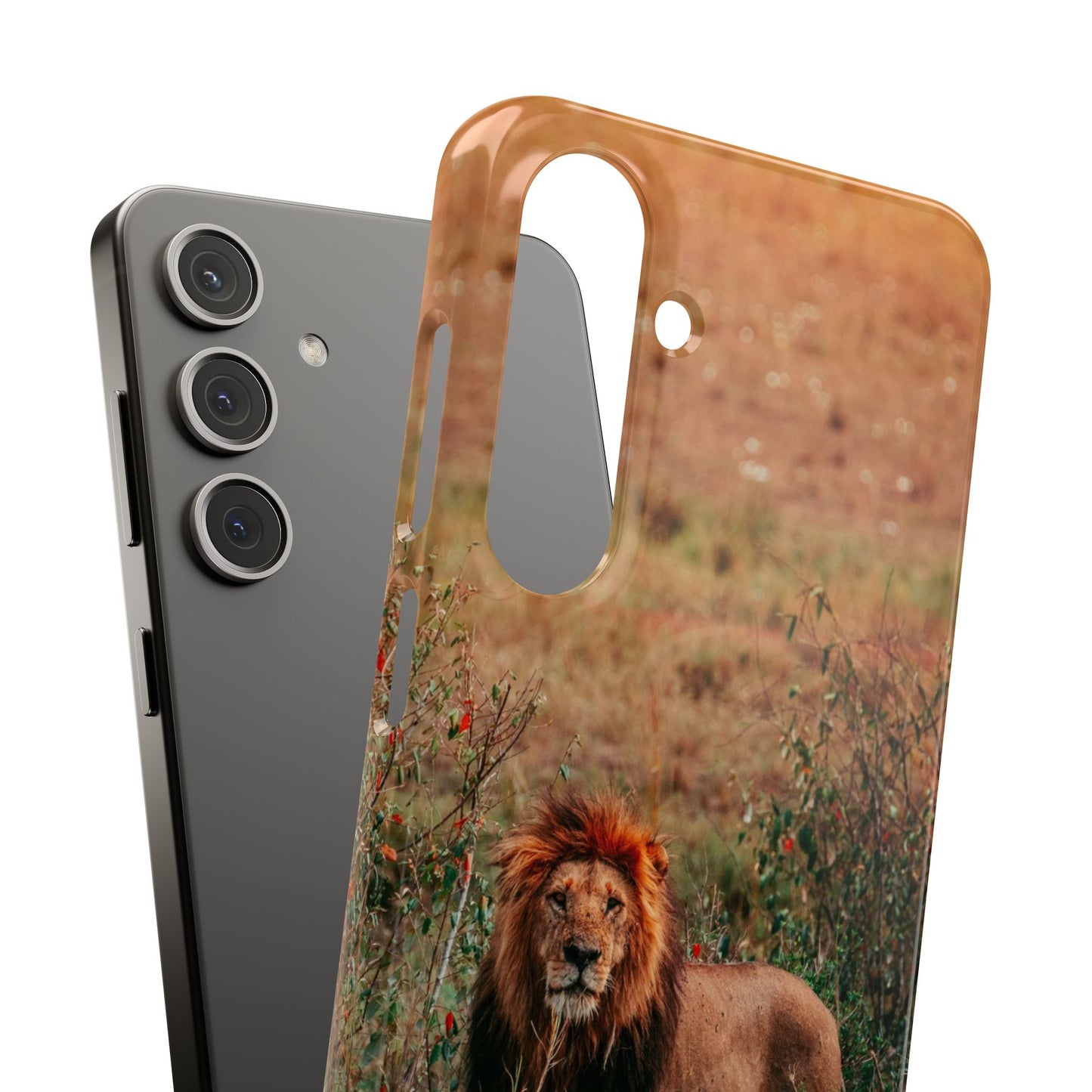Majestic Lion Cajasol - Nature Inspired