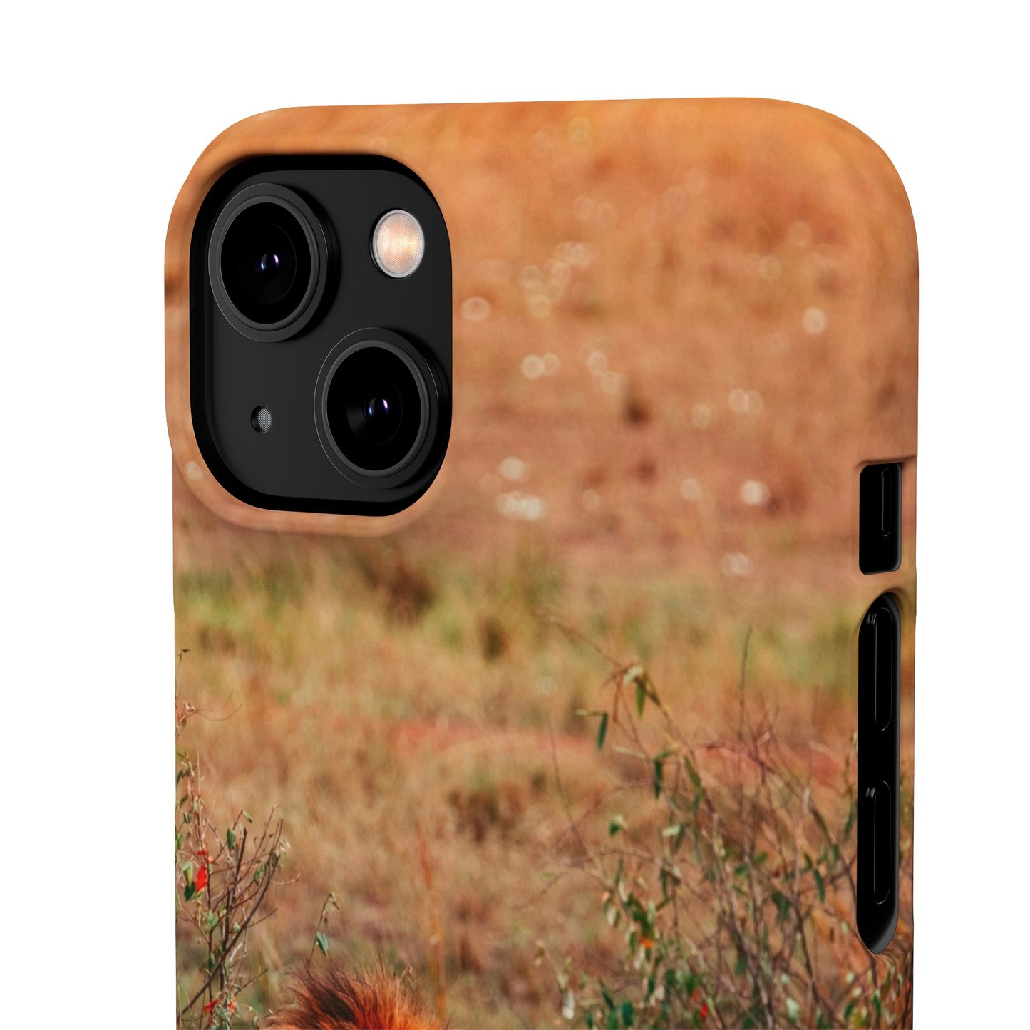Majestic Lion Cajasol - Nature Inspired