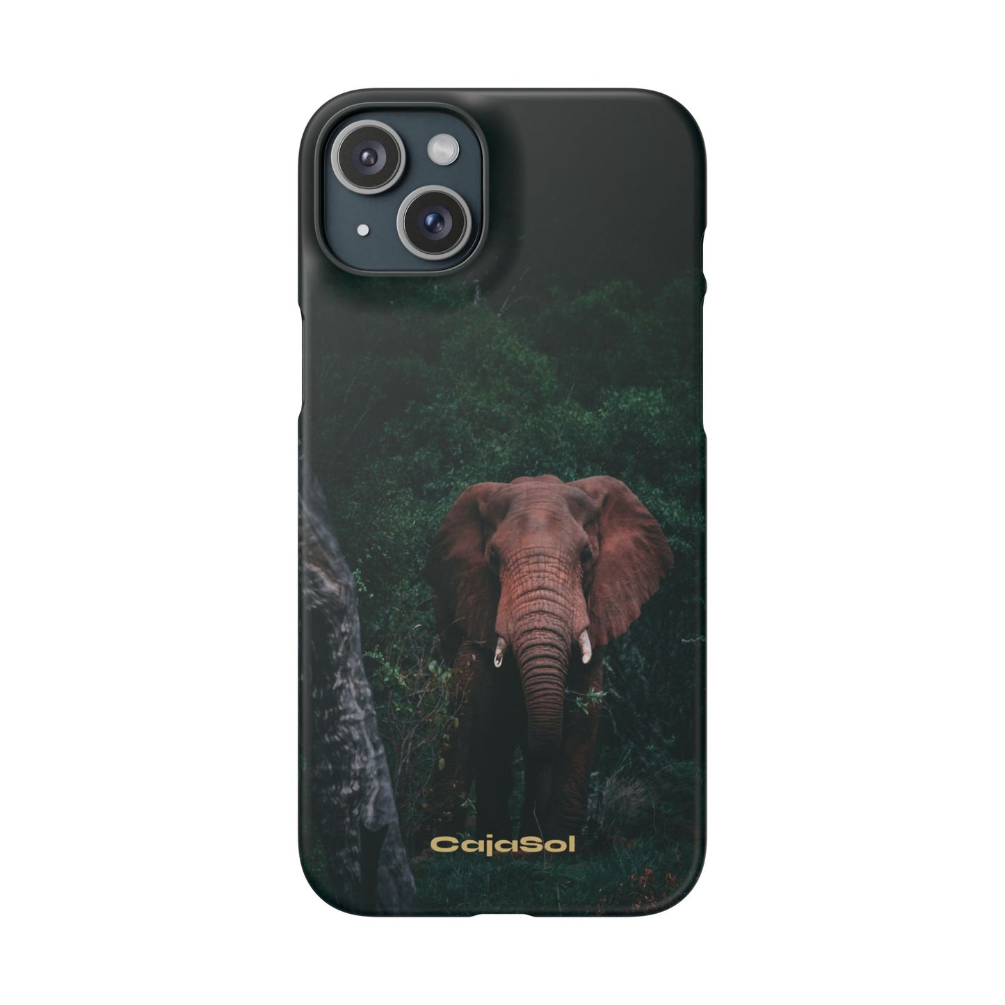 Wildlife Lover's Cajasol - Majestic Elephant