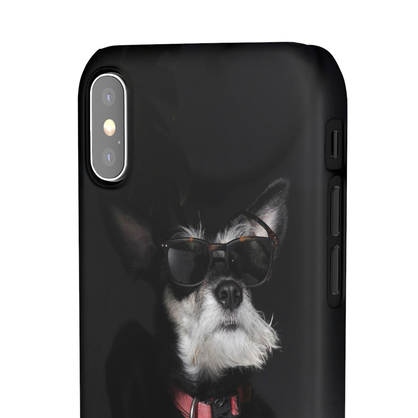Cool Dog Cajasol - Stylish Pet