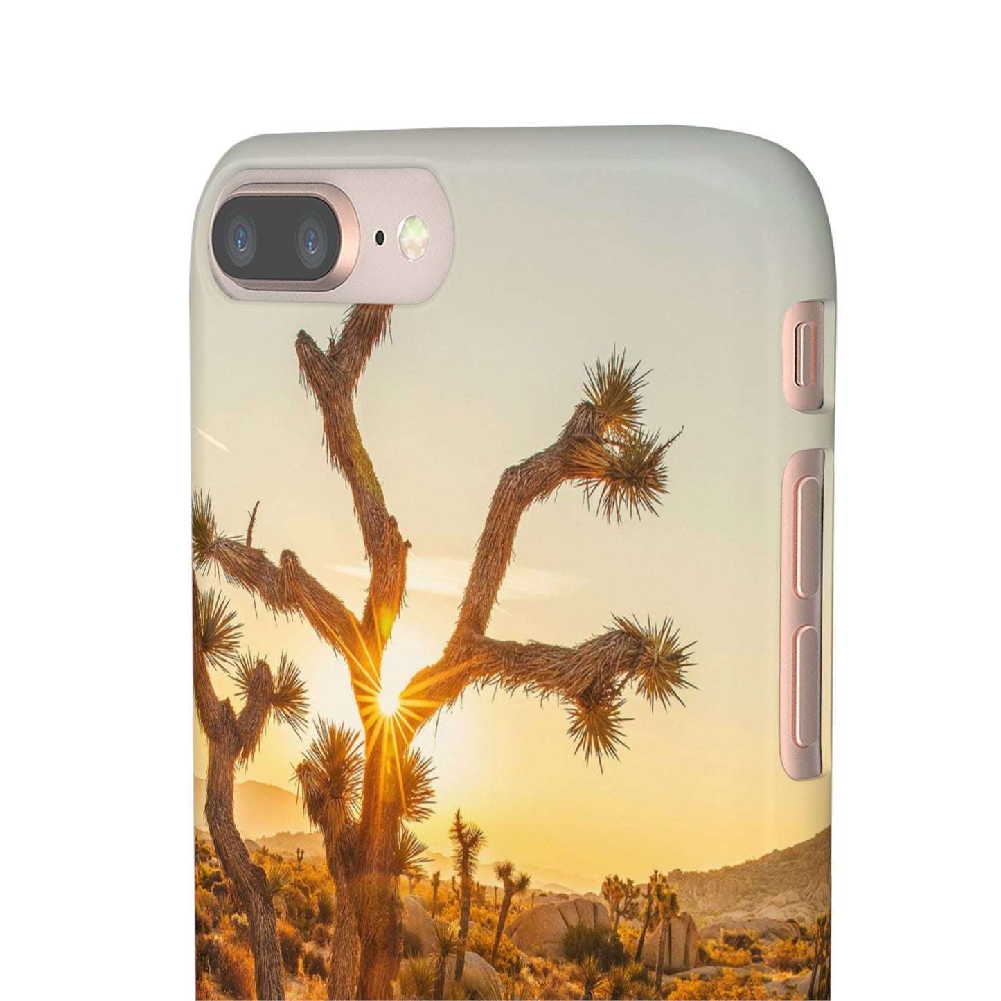 Desert Sunset Cajasol - Stylish Protection for Nature Lovers