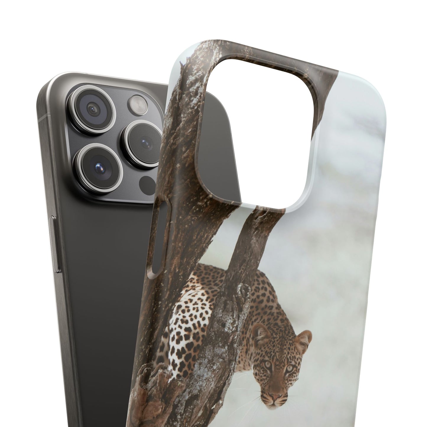 Leopard Cajasol - Wildlife Vibes