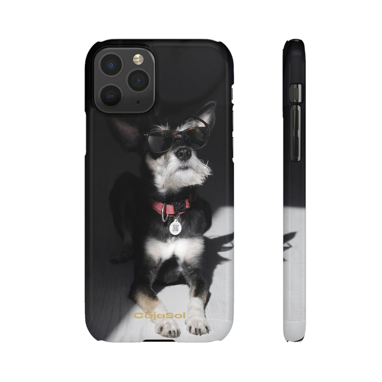 Cool Dog Cajasol - Stylish Pet