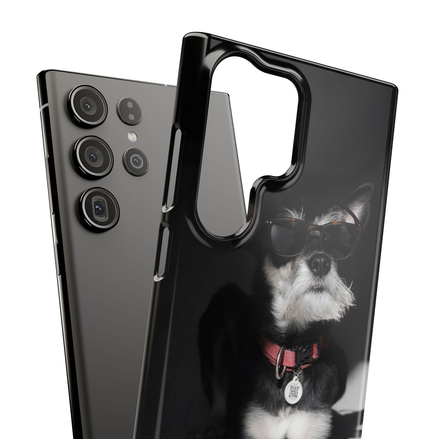 Cool Dog Cajasol - Stylish Pet