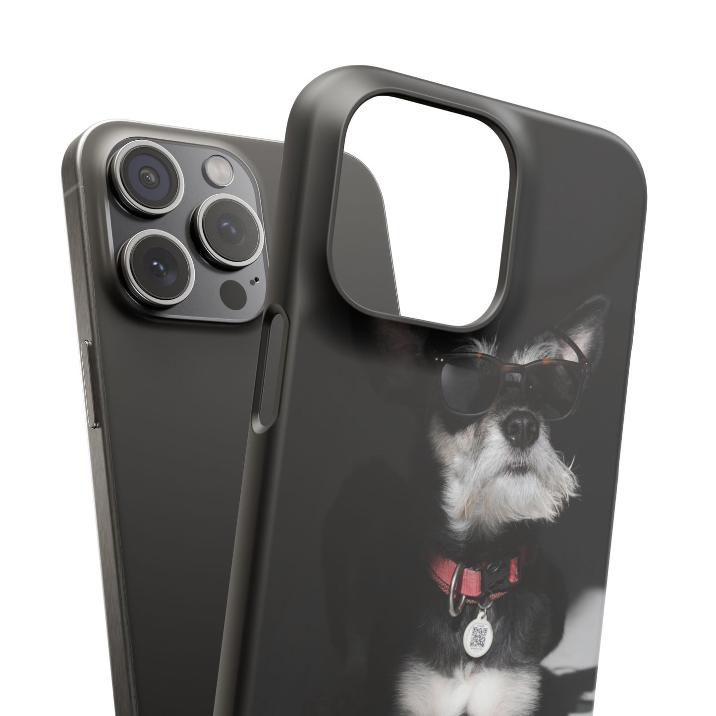Cool Dog Cajasol - Stylish Pet
