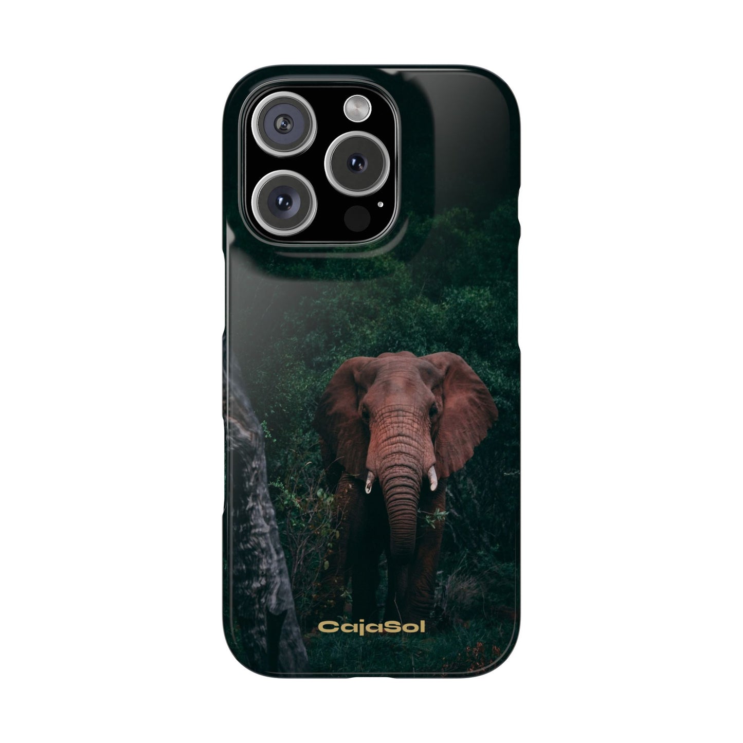 Wildlife Lover's Cajasol - Majestic Elephant