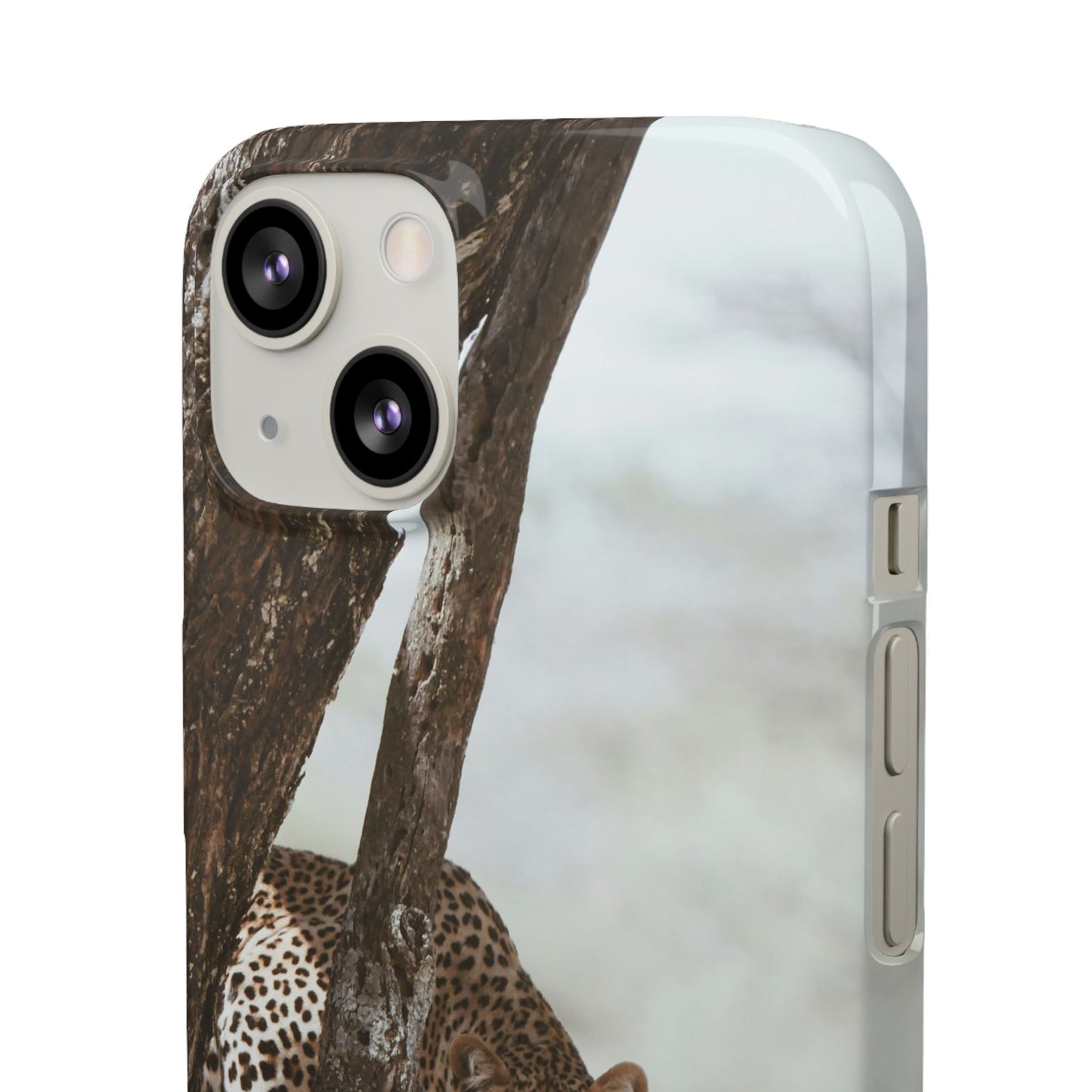 Leopard Cajasol - Wildlife Vibes
