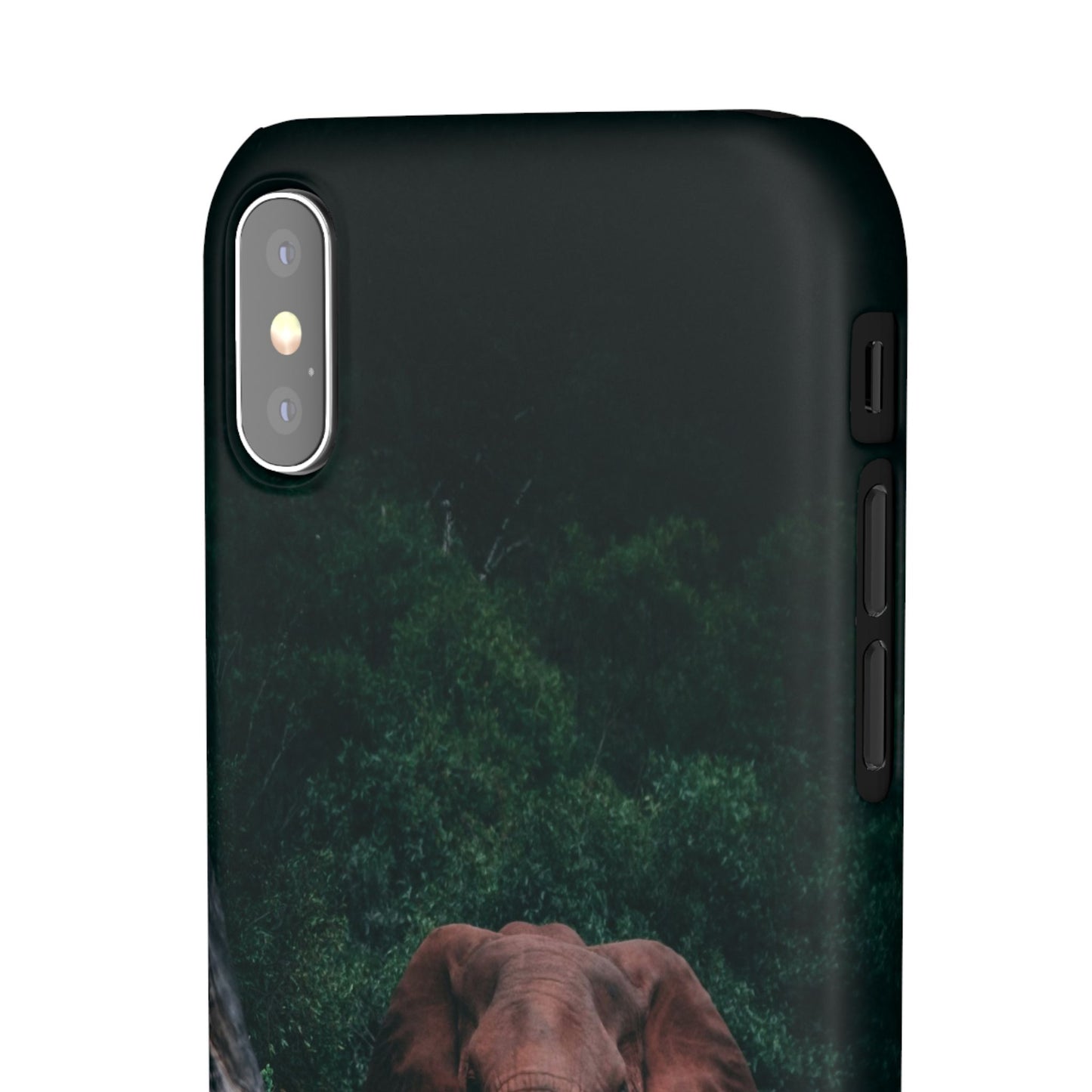 Wildlife Lover's Cajasol - Majestic Elephant