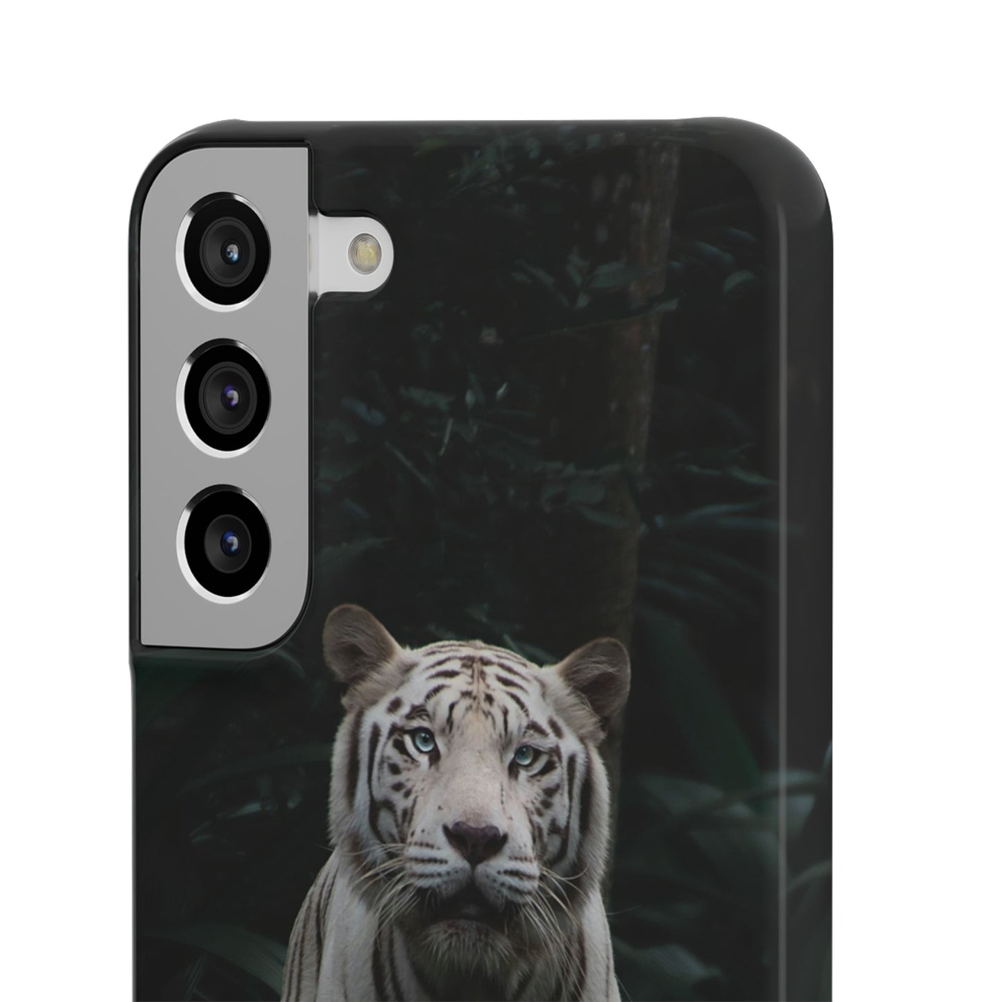 Majestic White Tiger Cajasol - Elegant & Protective for Wildlife Lovers