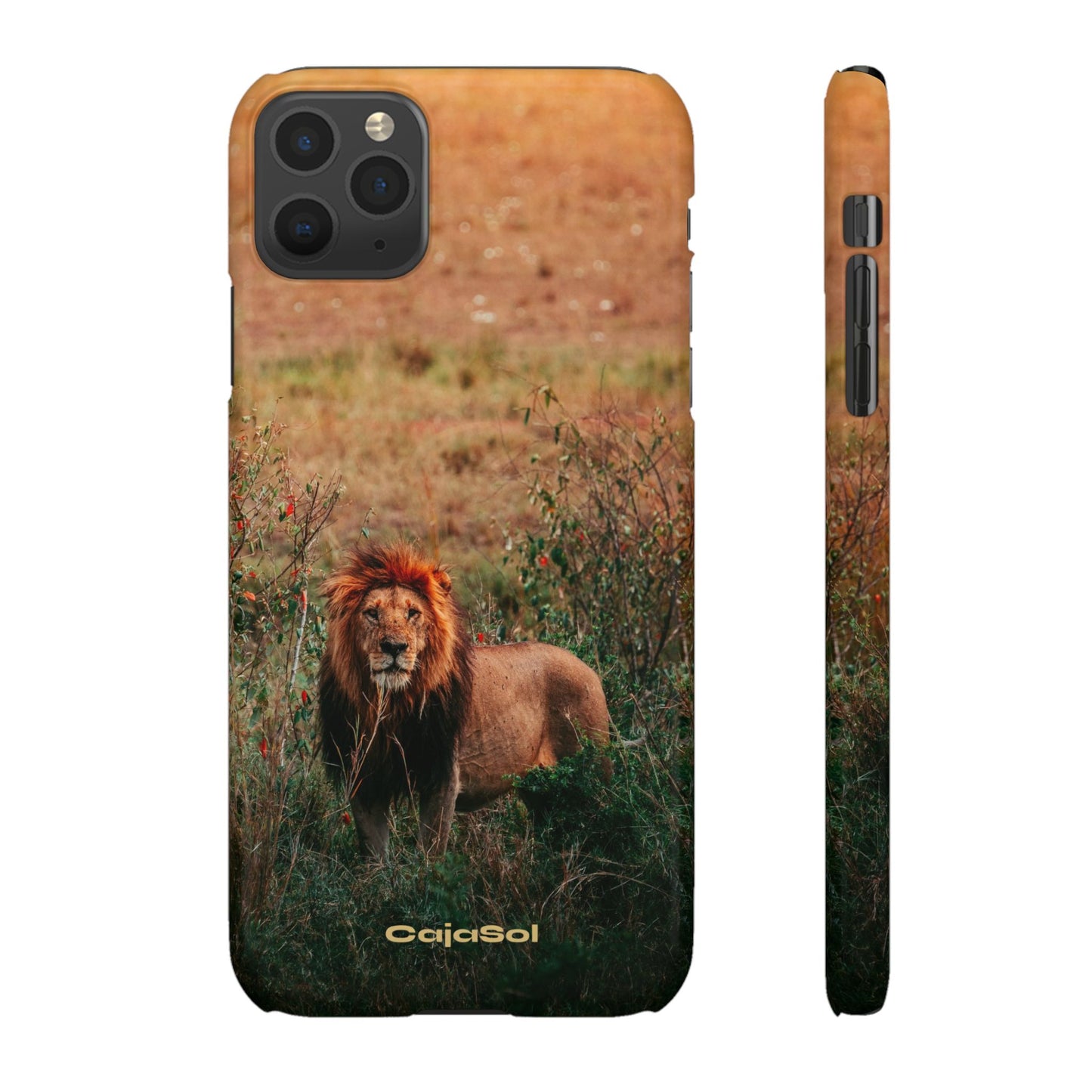 Majestic Lion Cajasol - Nature Inspired