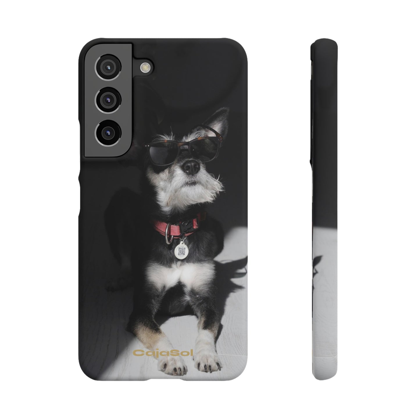 Cool Dog Cajasol - Stylish Pet