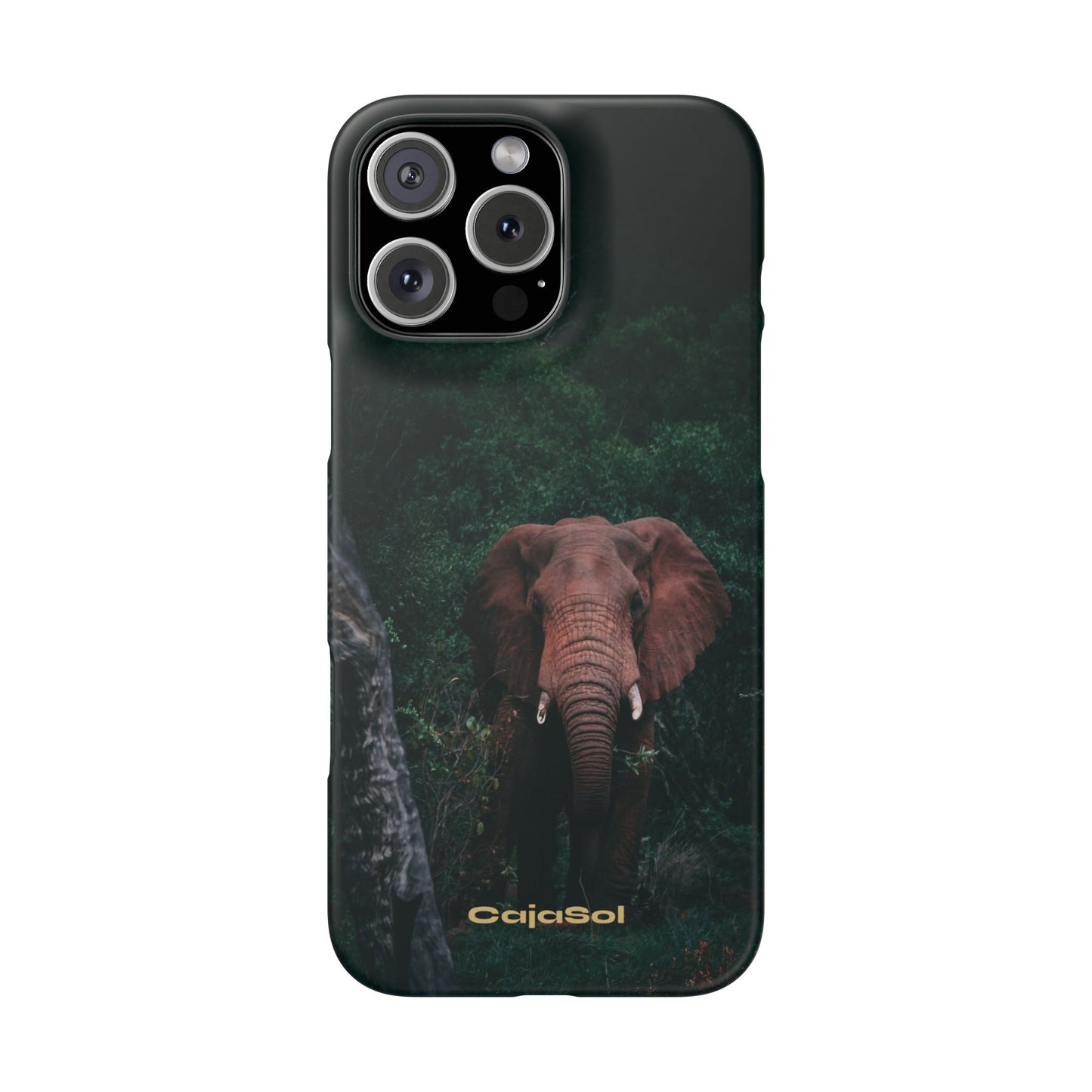Wildlife Lover's Cajasol - Majestic Elephant
