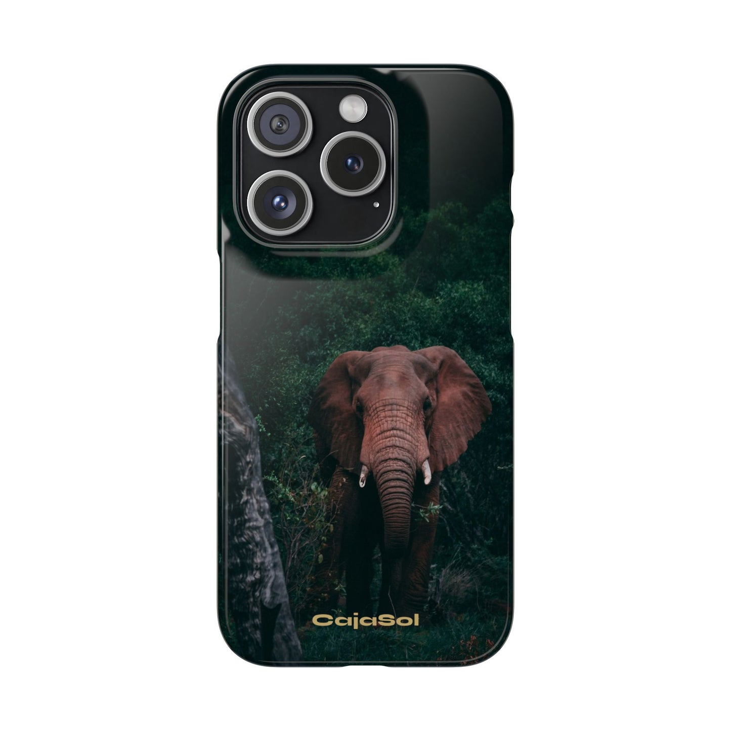 Wildlife Lover's Cajasol - Majestic Elephant