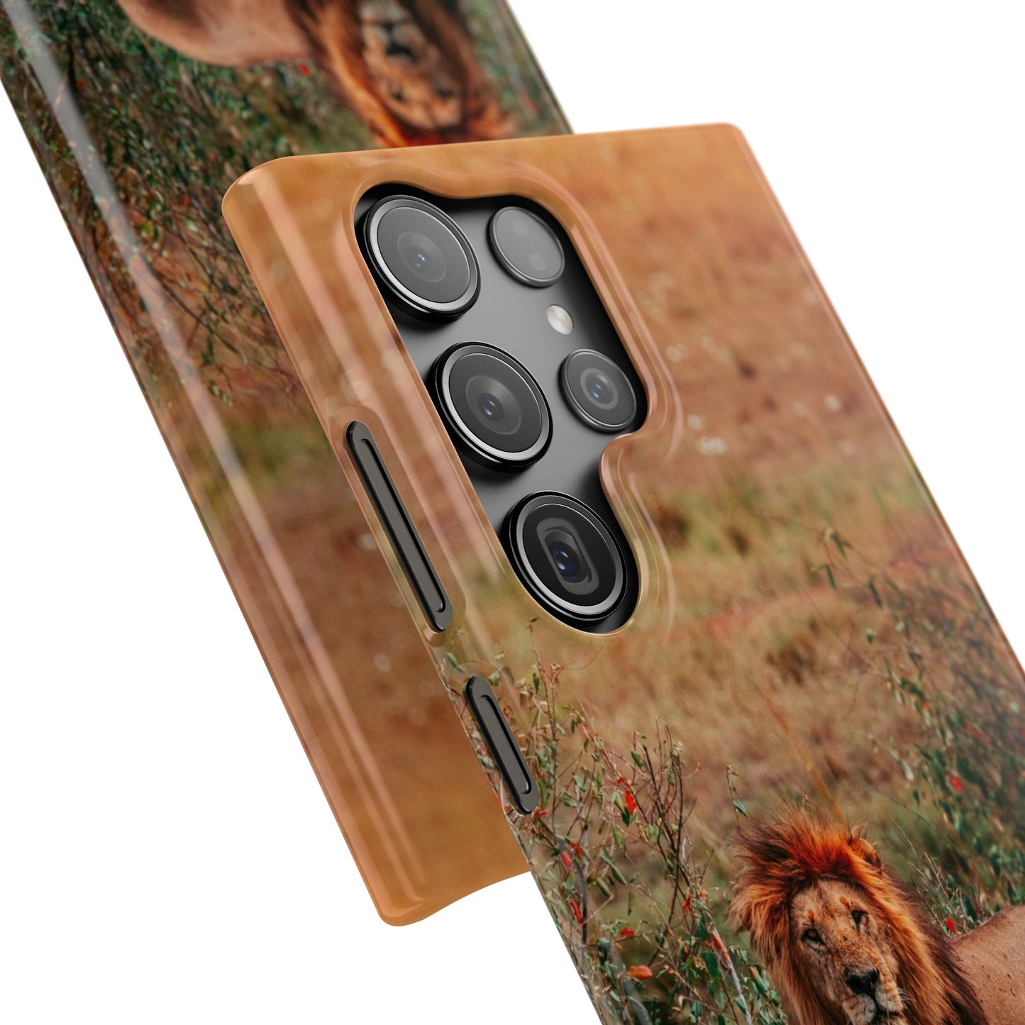 Majestic Lion Cajasol - Nature Inspired
