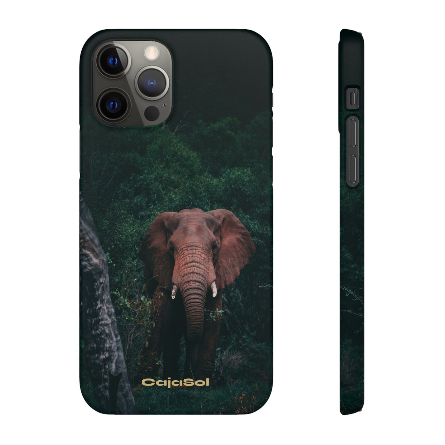 Wildlife Lover's Cajasol - Majestic Elephant
