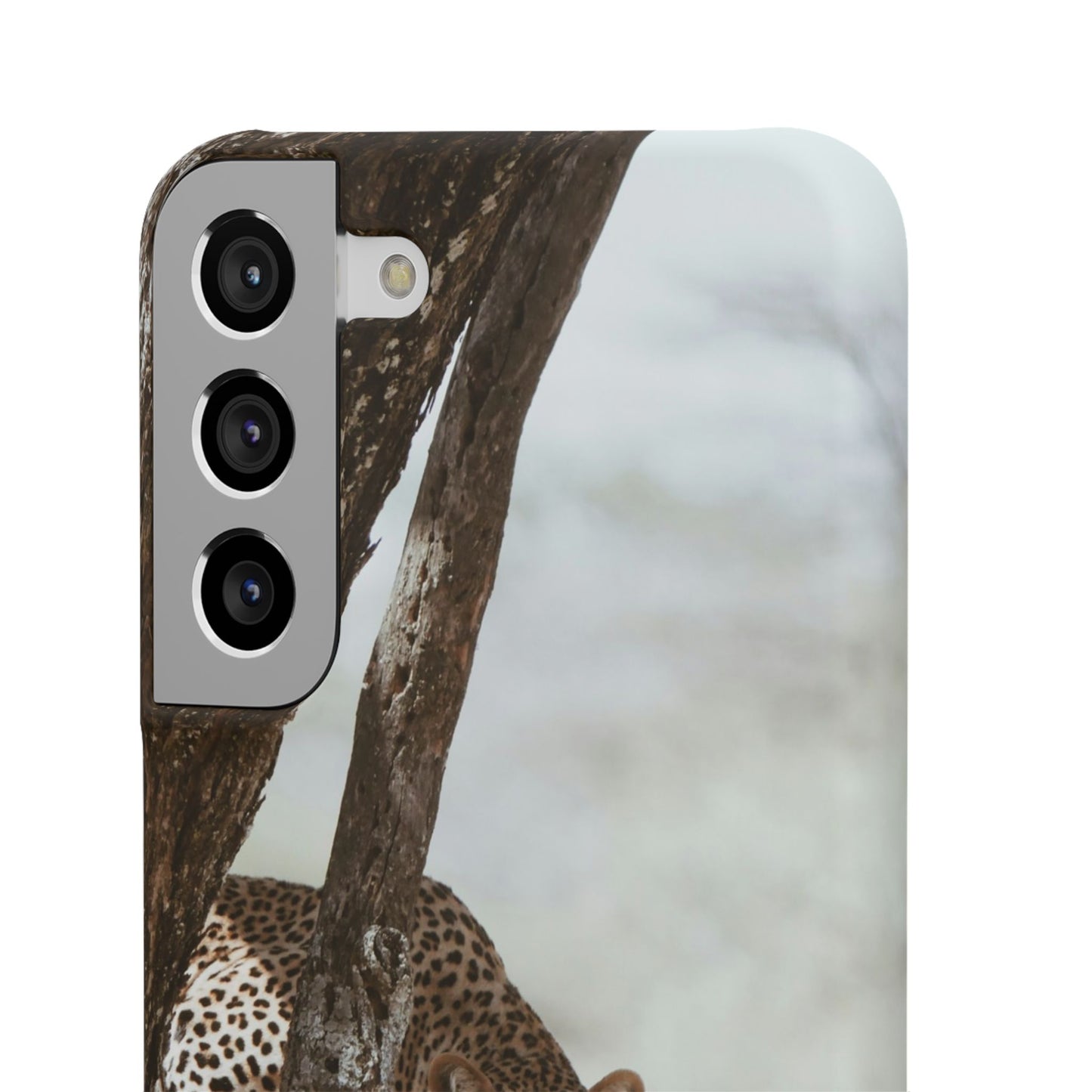 Leopard Cajasol - Wildlife Vibes