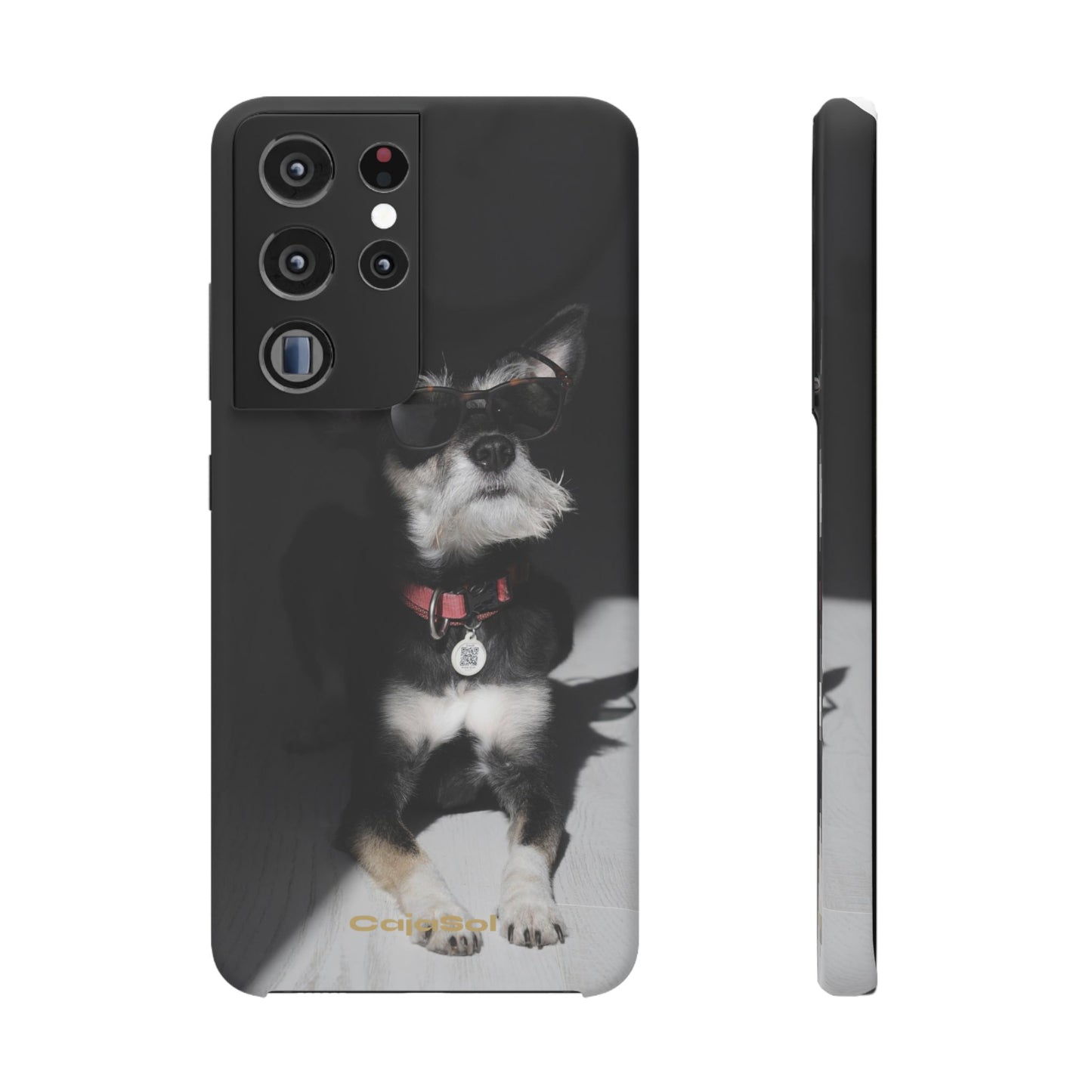 Cool Dog Cajasol - Stylish Pet