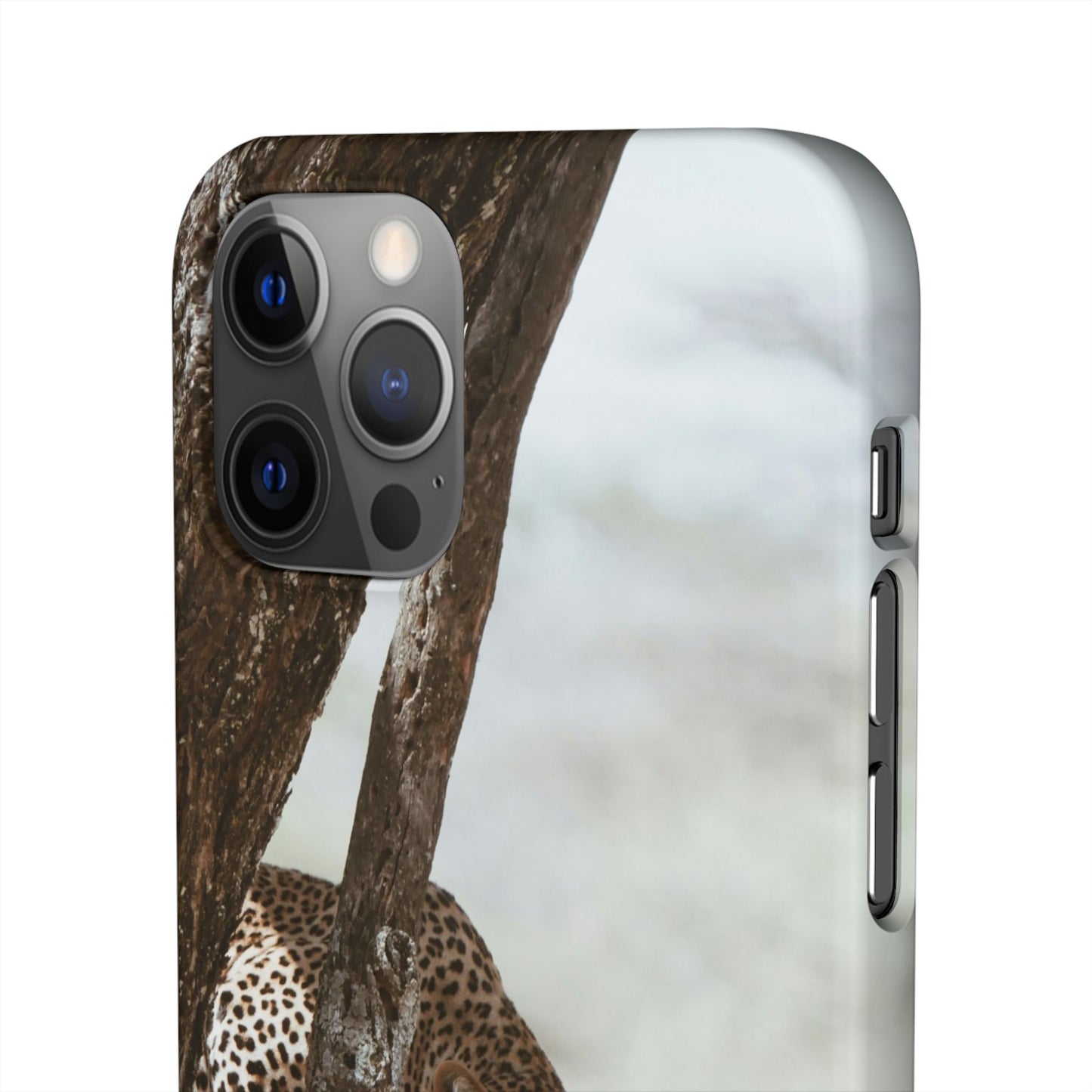 Leopard Cajasol - Wildlife Vibes