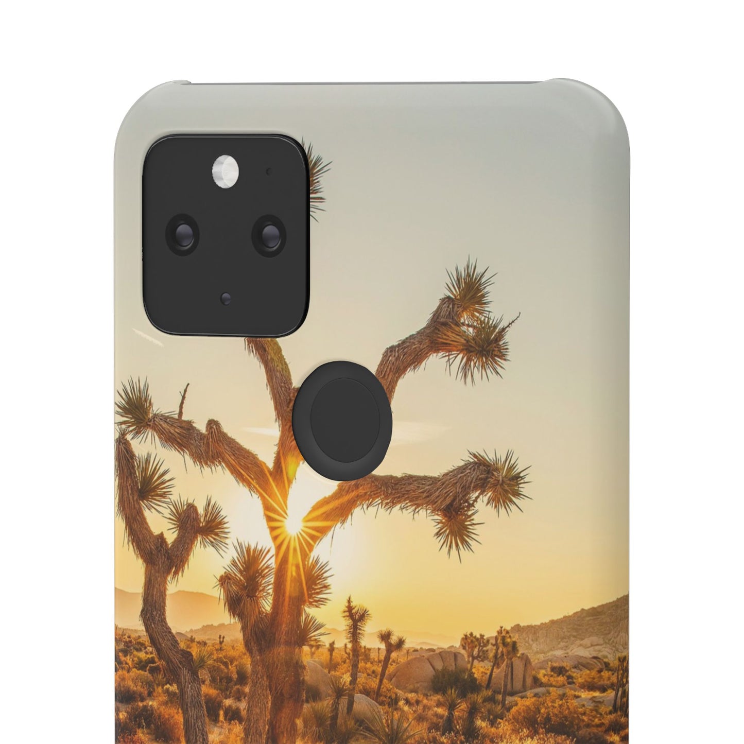 Desert Sunset Cajasol - Stylish Protection for Nature Lovers