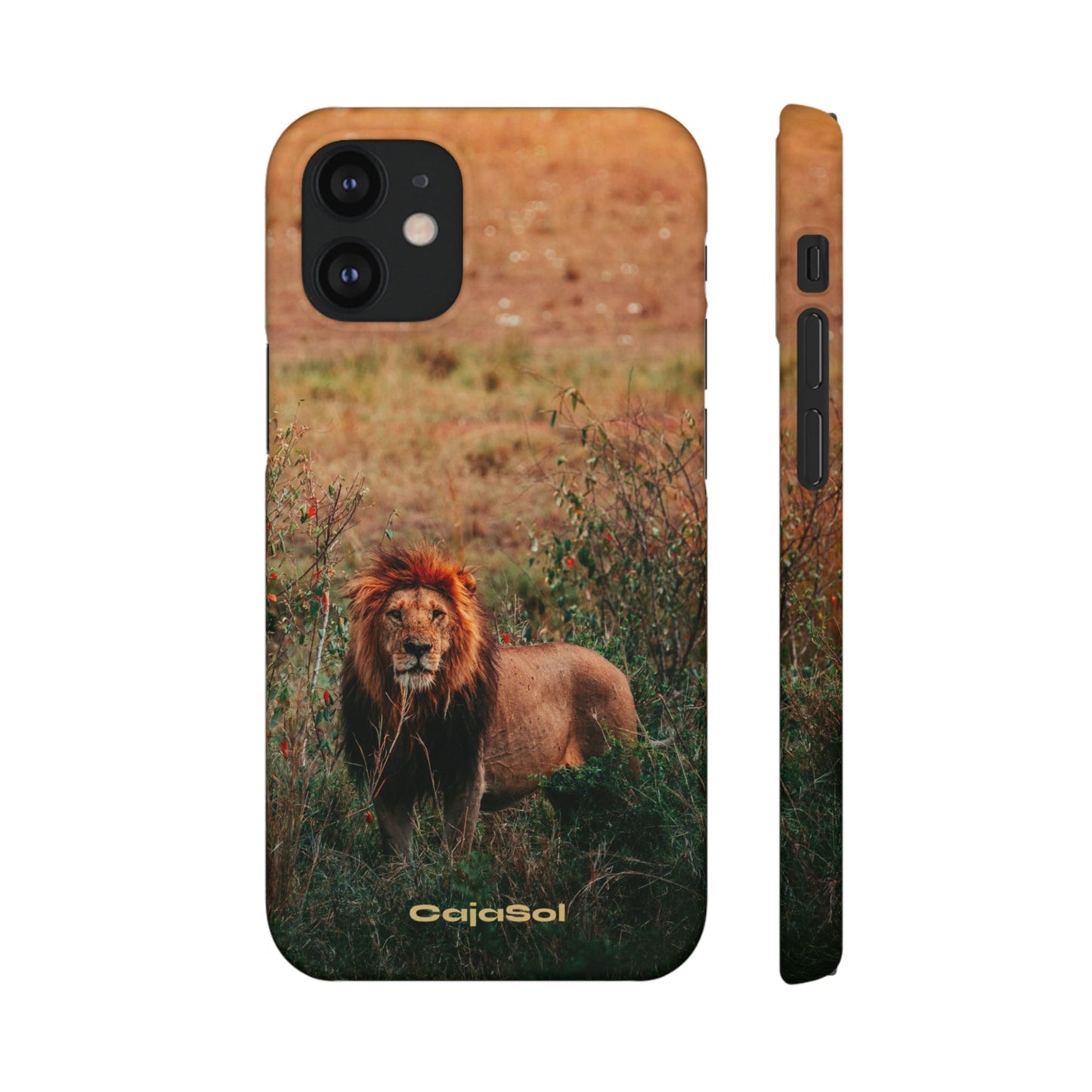 Majestic Lion Cajasol - Nature Inspired
