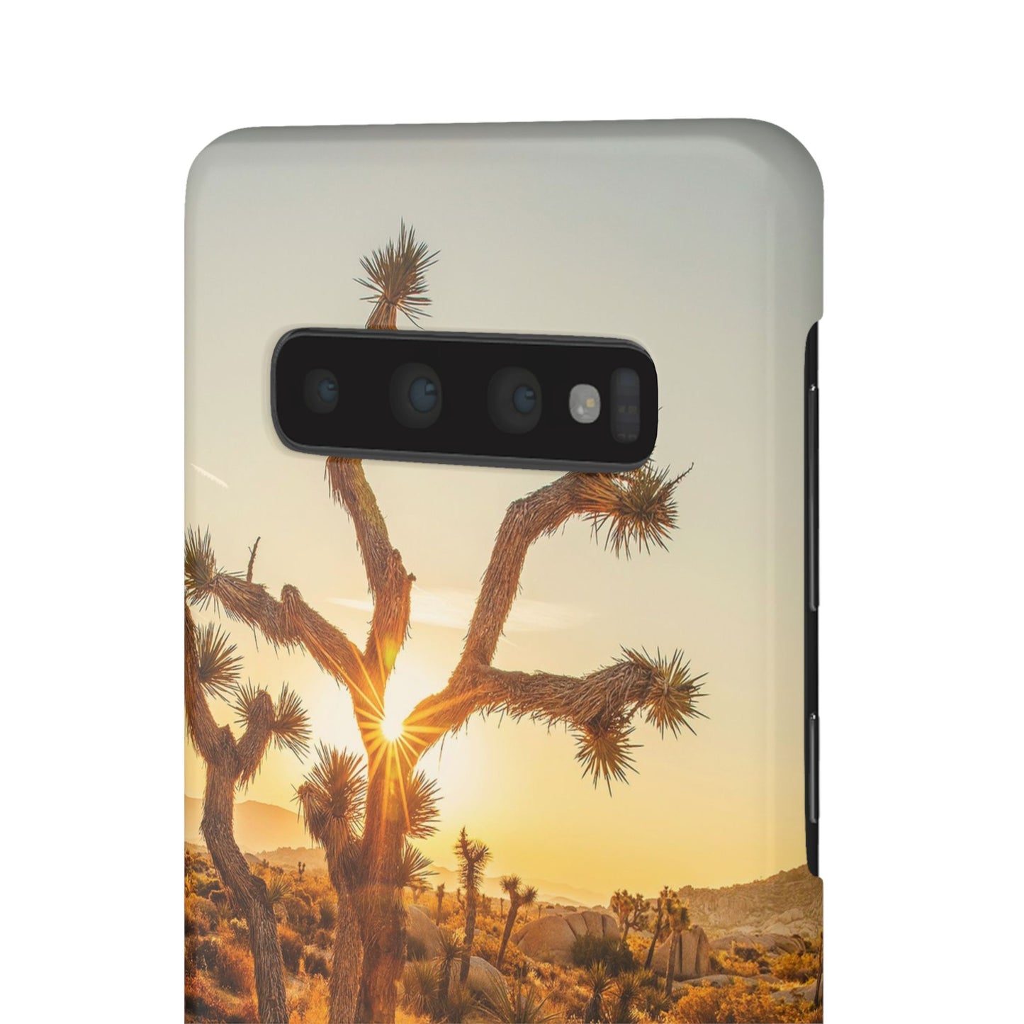 Desert Sunset Cajasol - Stylish Protection for Nature Lovers