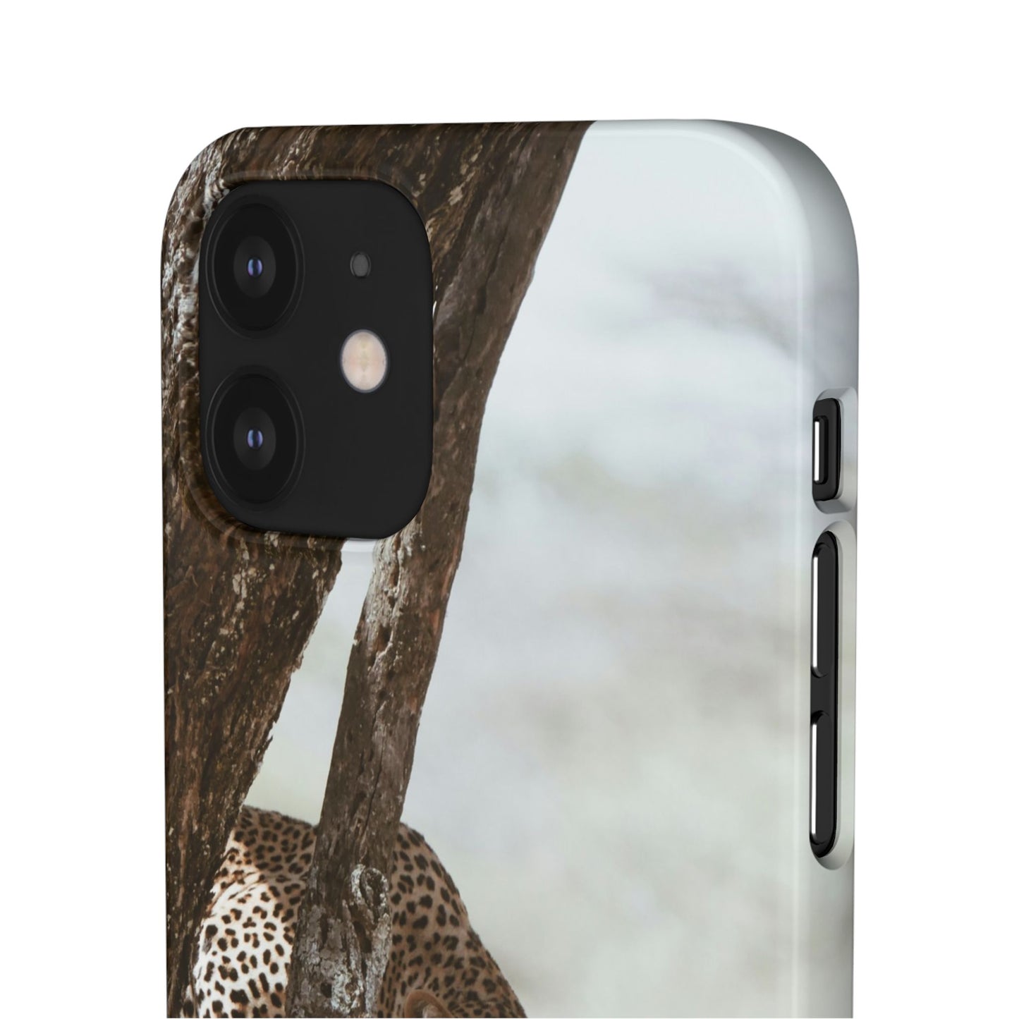 Leopard Cajasol - Wildlife Vibes