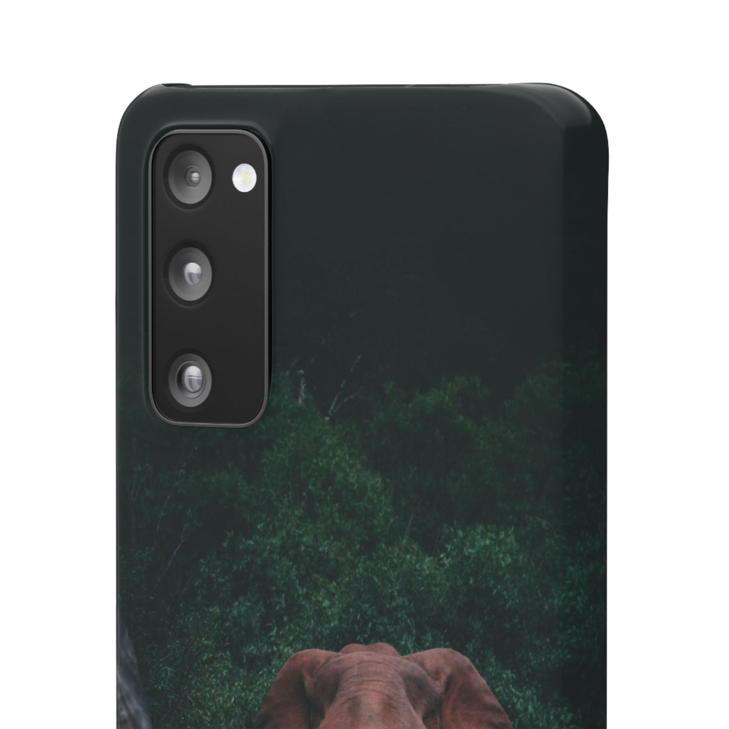 Wildlife Lover's Cajasol - Majestic Elephant