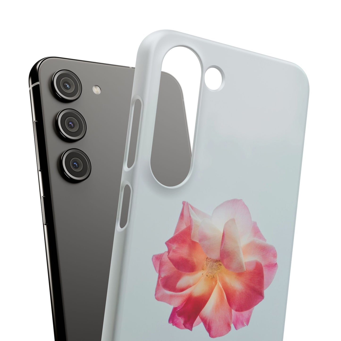 Floral Cajasol - Elegant Pink Flower