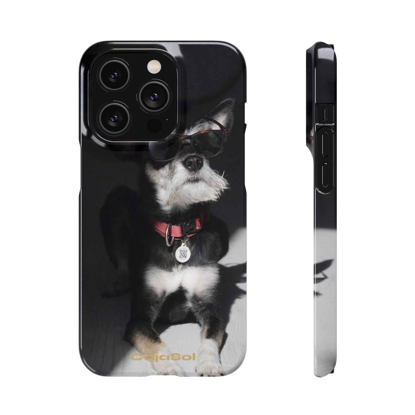 Cool Dog Cajasol - Stylish Pet